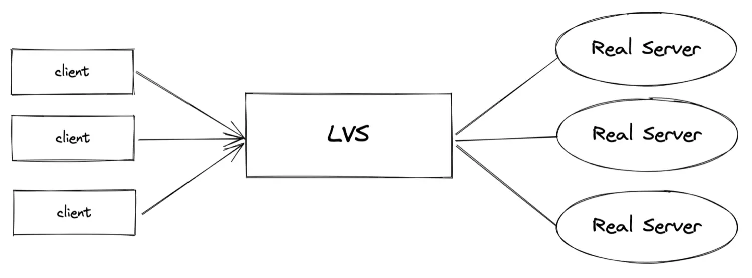 lvs-brief